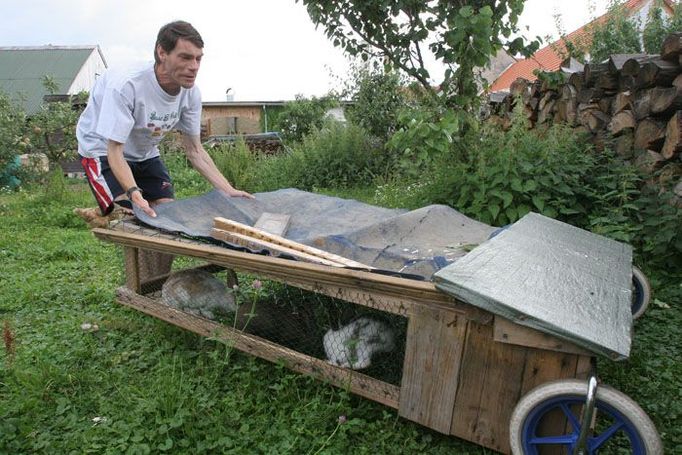 František se stará o králíky, chtěl by si pořídit několik slepic.