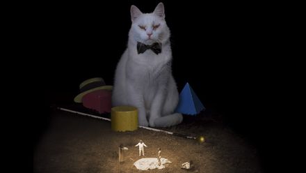 Uvázli v nejhorším snu. Přišli o dítě, jejich zotavování v přírodě se změnilo v horor