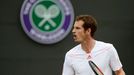 Britský tenista Andy Murray se raduje z vítězství nad Chorvatem Marinem Čiličem během Wimbledonu 2012.