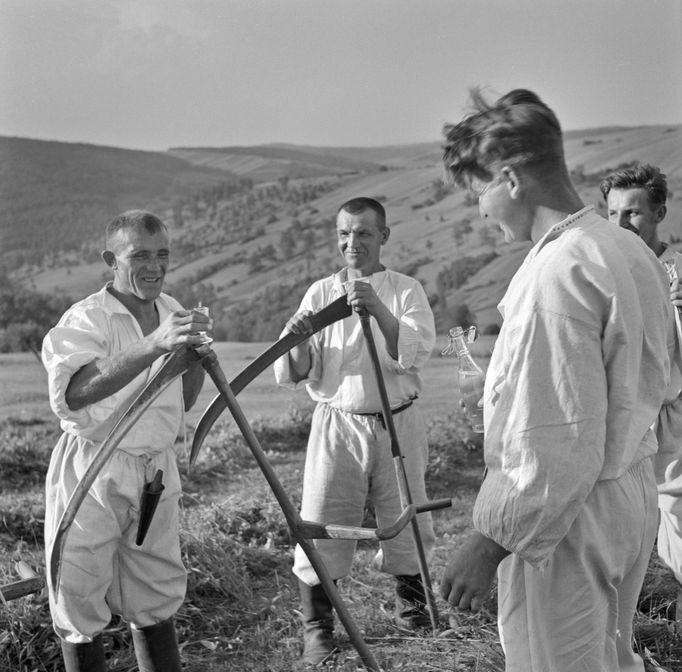 Ferdinand Bučina - fotografie