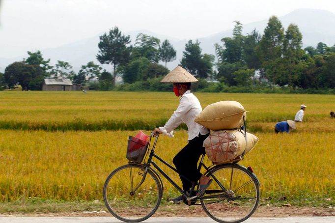 Žena z thajské menšiny ve Vietnamu jede na kole kolem zaplavených rýžových polí ve městě Dien Bien Phu, 16. května 2011. REUTERS/Kham