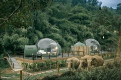 Kemp v Thajsku nabízí noc mezi slony. Ubytování v bublině vyjde na 13 tisíc korun