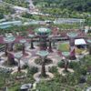Obrazem: V Singapuru postavili pozoruhodné zahrady - Albín Havel - Nepoužívat v článcích !!!