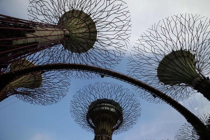 The elevated skyway of the Supertrees Grove at the Gardens by the Bay is pictured in Singapore June 28, 2012. The 101-hectare gardens situated at the heart of Singapore's new downtown at Marina Bay, which have two greenhouses and 220,000 plants from almost every continent, was officially opened by Singapore's Prime Minister Lee Hsien Loong on Thursday. REUTERS/Tim Chong (SINGAPORE - Tags: ENVIRONMENT SOCIETY TRAVEL) Published: Čer. 28, 2012, 4:12 odp.