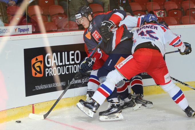 EHCh, ČR - Slovensko: Michal Birner (16)