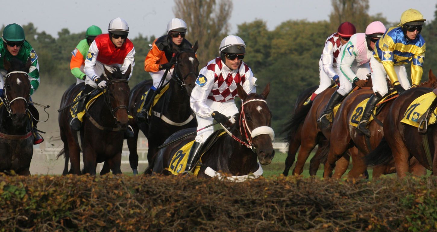 Velká pardubická 2015: Zarif (Marek Stromský)