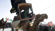 Poutníci míří v tradičním arabském oblečení na hrbech velblouda do Kerbaly.