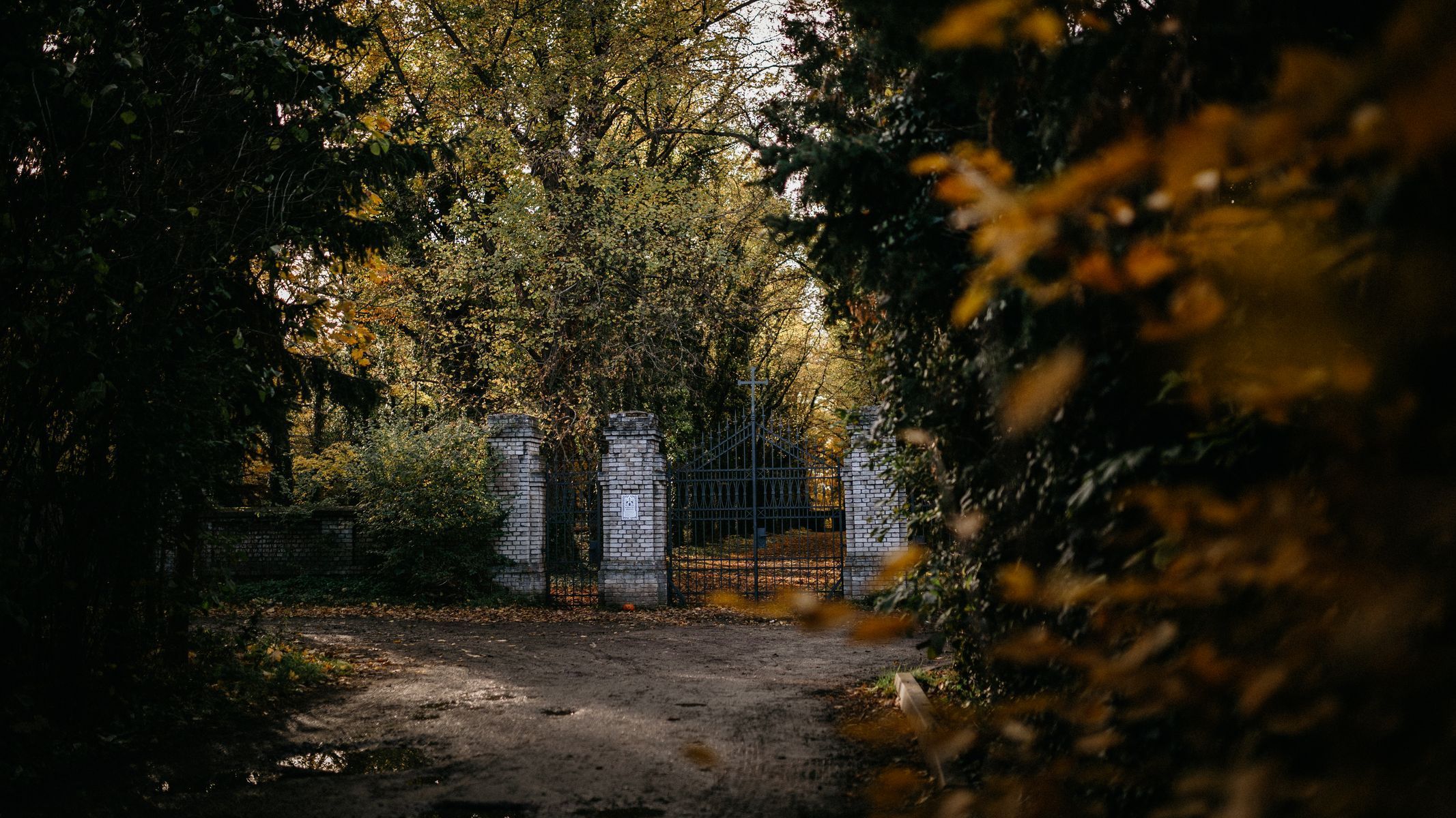 hřbitov Bohnice hřbitov bláznů