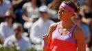 French Open 2015: Lucie Šafářová ve finále