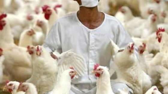 Galerie: pátek 16.12. očima fotografů