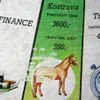 Skutečné osudy koní z Dostihů a sázek