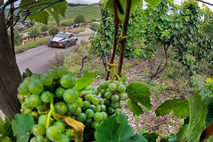 Německá rallye 2017: Thierry Neuville, Hyundai i20 Coupe WRC