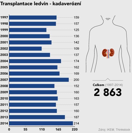 grafika - IKEM - transplantace
