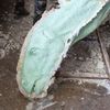 Jednorázové užití / Fotogalerie / Uplynulo 130 let od otevření Národního muzea v Praze