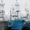 Komerční lov velryb v Japonsku