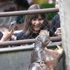 trpasličí hrošice, Moo Deng, ZOO, Thajsko
