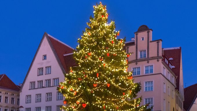 Anketa: Vyberte, které krajské město se letos pyšní nejkrásnějším vánočním stromem
