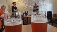 pivo Anthropoid