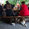 Divoký bistro, Úbislav - gastronomie, kemp