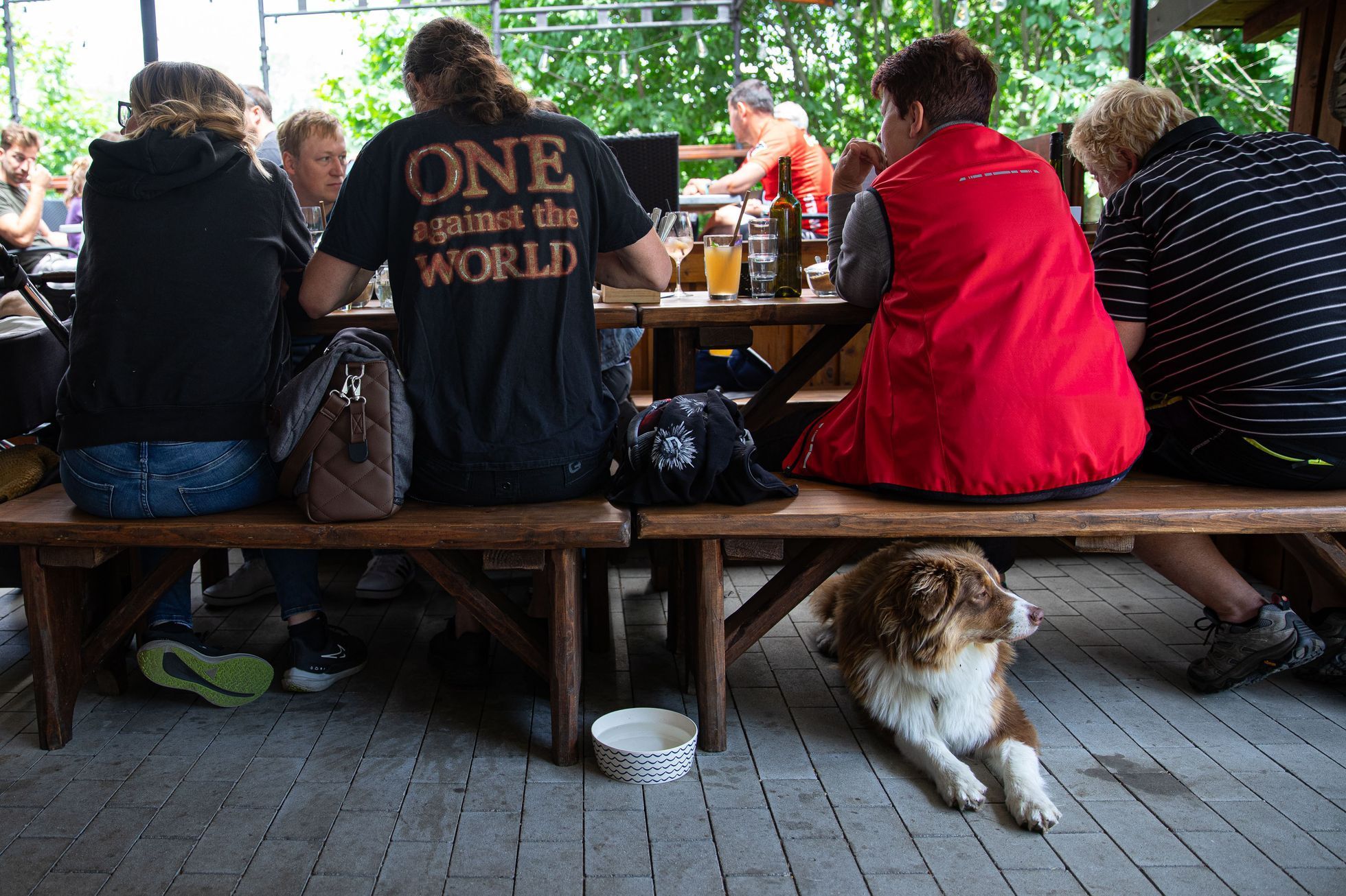 Divoký bistro, Úbislav - gastronomie, kemp