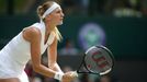 Petra Kvitová v osmifinále Wimbledonu 2019