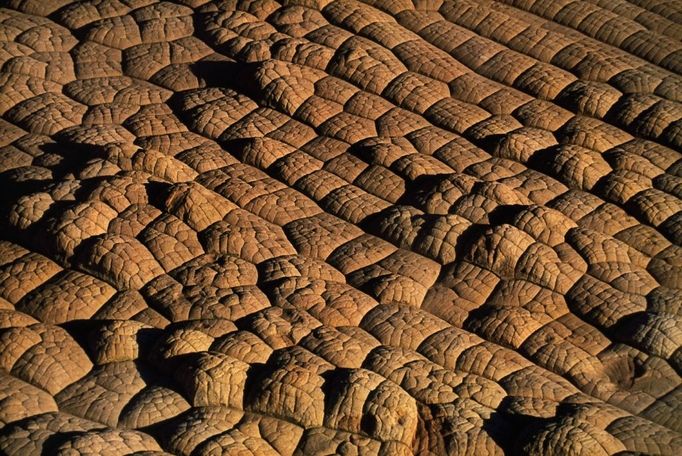 Cross-Bedded Sandstone Formation Cross-bedded sandstone formation in Vermillion Cliffs National Monument, Arizona. | Location: Vermillion Cliffs National Monument, Arizona, USA.