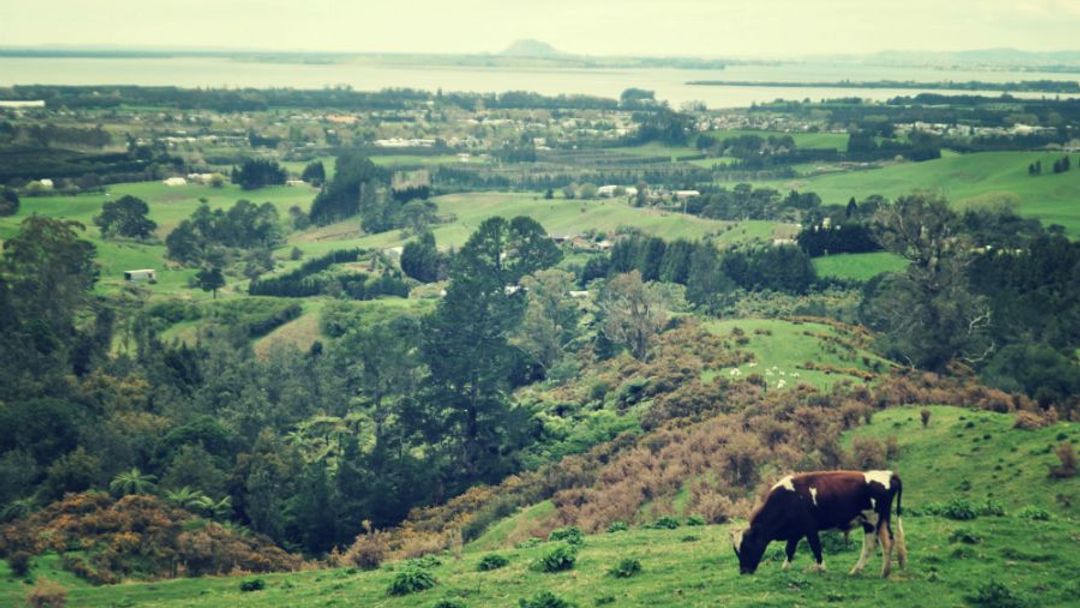 Nový Zéland: Přes organické farmy jsem se dostala až do luxusní restaurace