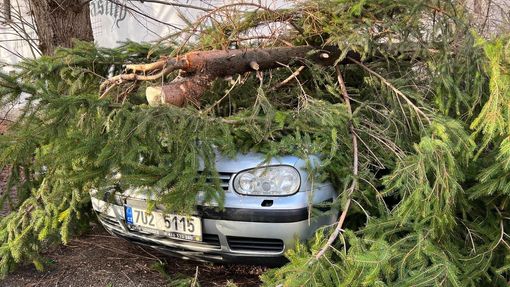 Hasiči v Praze odklízeli popadané stromy.