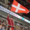 MS 2014, fanoušci: Dánsko
