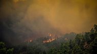Řecko se potýká s masivními lesními požáry. Země zažívá dlouhou vlnu veder, teploty se pohybují okolo 40 stupňů Celsia a v dalších dnech budou dosahovat až 45 stupňů.