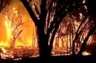 Video: Požáry v okolí Sydney