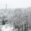 Zasněžená Praha, sníh, panorama, zima, leden 2021, Petřín