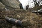 Boří les na Břeclavsku se od munice začne čistit ještě letos