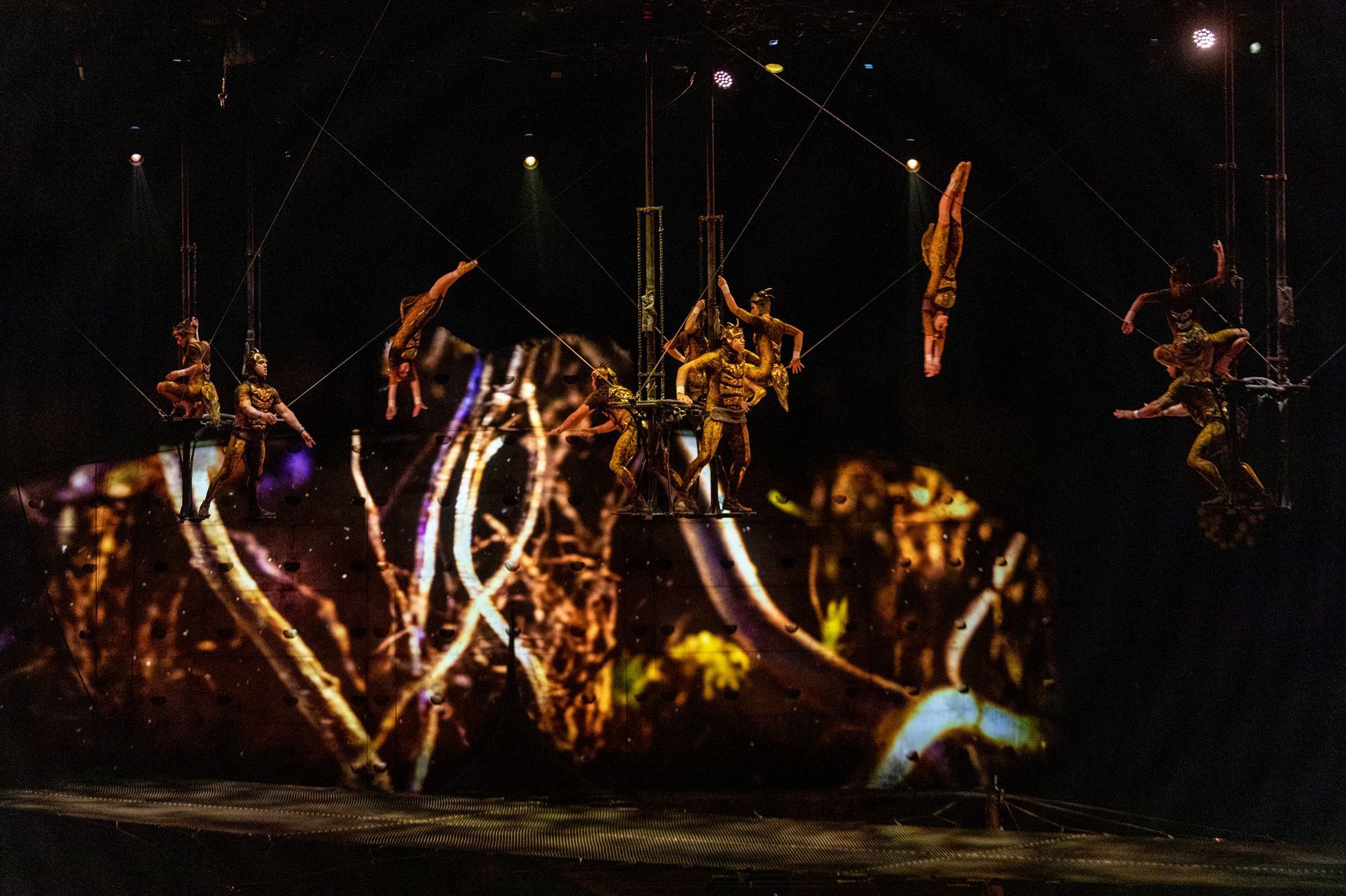 Cirque du Soleil: Ovo, 2023, O2 arena