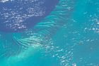Atlantský oceán v oblasti Bahamských ostrovů (z paluby ISS, říjen 2020).