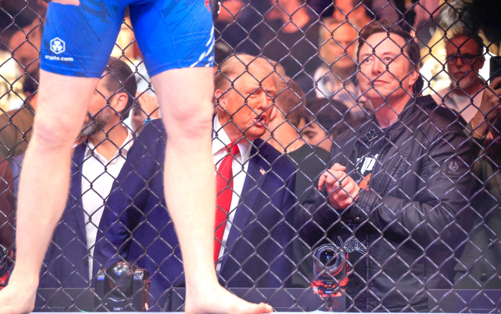 Trump Musk