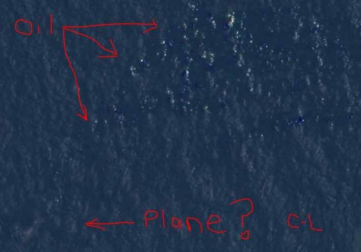 Courtney Love, teorie o zmizení malajského letadla