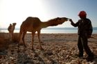 Beduíni unesli na Sinaji Češku, musela se vykoupit