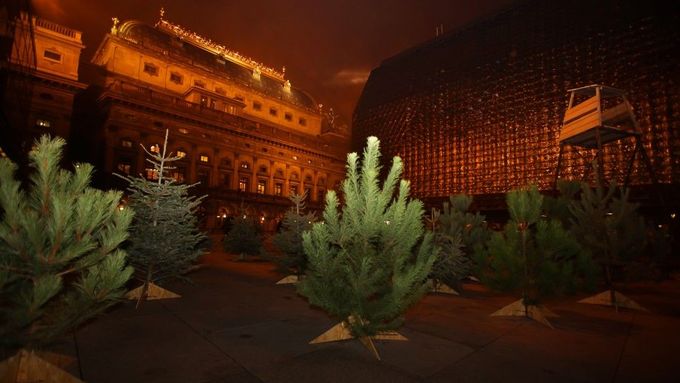 Vánoční stromky nemusí do koše. U Národního divadla z nich vznikl les.