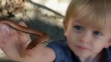 Dvouletého Australana si oblíbili lidé na internetu. Chlapec chytá hady do rukou