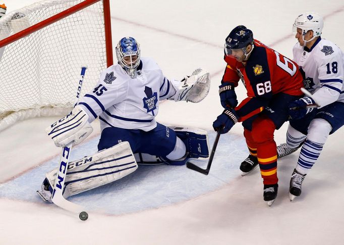 NHL: Toronto Maple Leafs at Florida Panthers (Jágr, Bernier, Pánik)