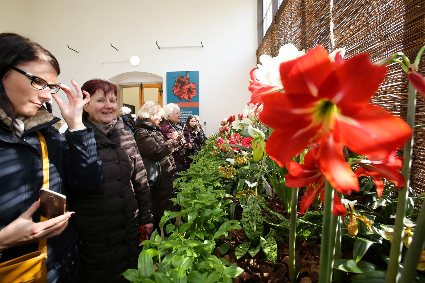Výstava "Voda na Pražském hradě & hyacinty a hvězdníky"