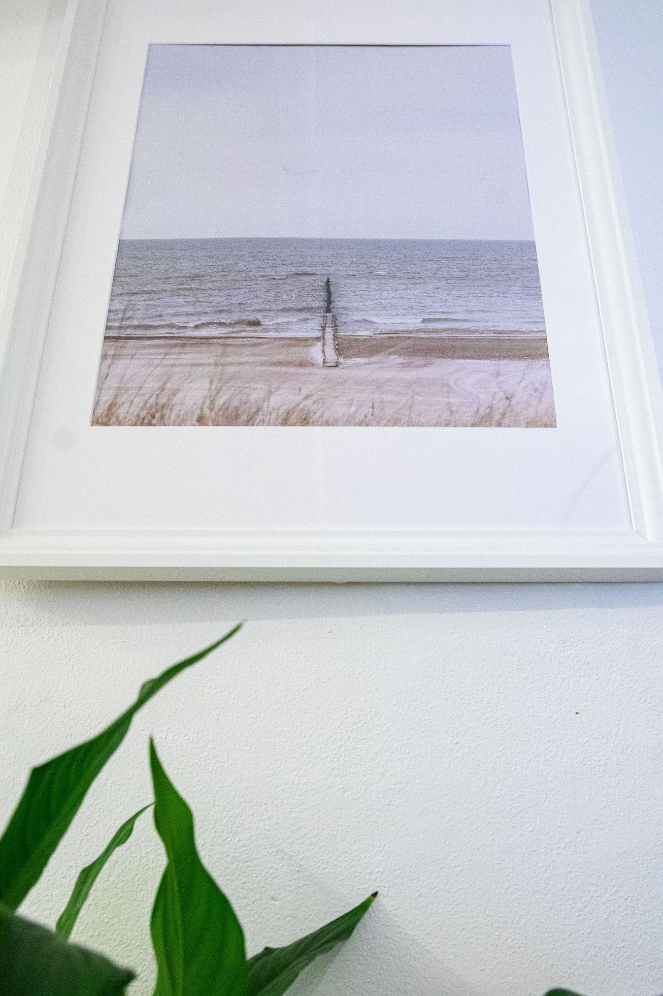 Lotyšská Kavárna Pankuka v Plzni