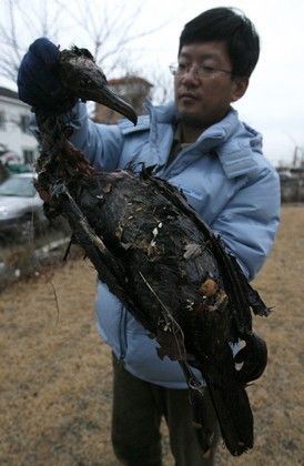 Korejci bojují s ropou z tankeru