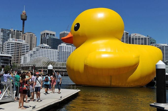 A gigantic, yellow rubber duck is floated into Sydney's Darling Harbour on January 5, 2013 to kick off Sydney's annual arts festival, a celebration which combines high-art with popular entertainment. The rubber duck by Dutch artist Florentijn Hofman forms part of the 2013 Sydney Festival which will present more than 750 artists from about 17 countries around the world, with many of the events free and family-oriented to showcase the personality of Australia's biggest city.