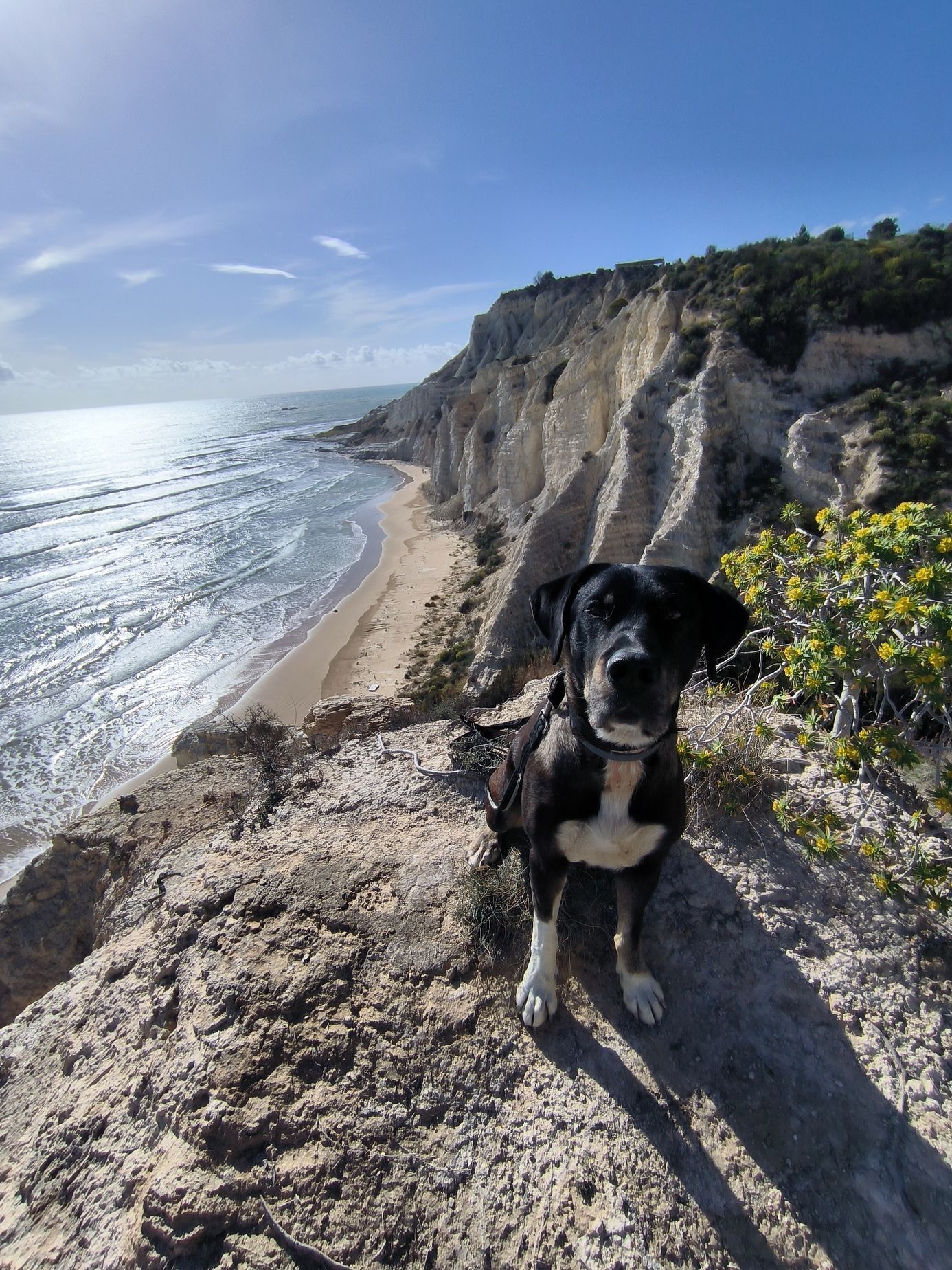 nomád, cestování, cestovatel, výprava, toulky, cesta