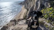 "Cestování bez něj si už nedokážu představit. Všechno jsme podnikli spolu. Až jednou řekne, že má dost, poznám to. Zatím se ale stáří jen směje," říká s úsměvem.