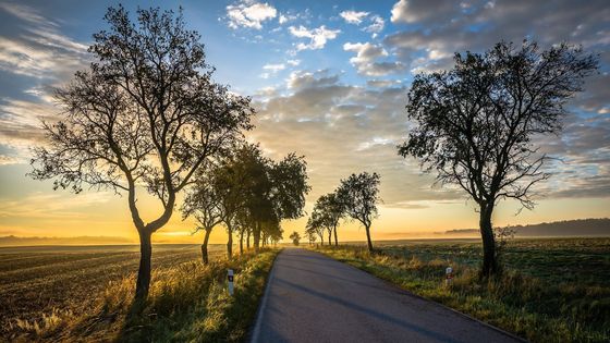 Facebook přebírá roli někdejších fotoklubů. Ukazuje to i výstava skupiny 3+2