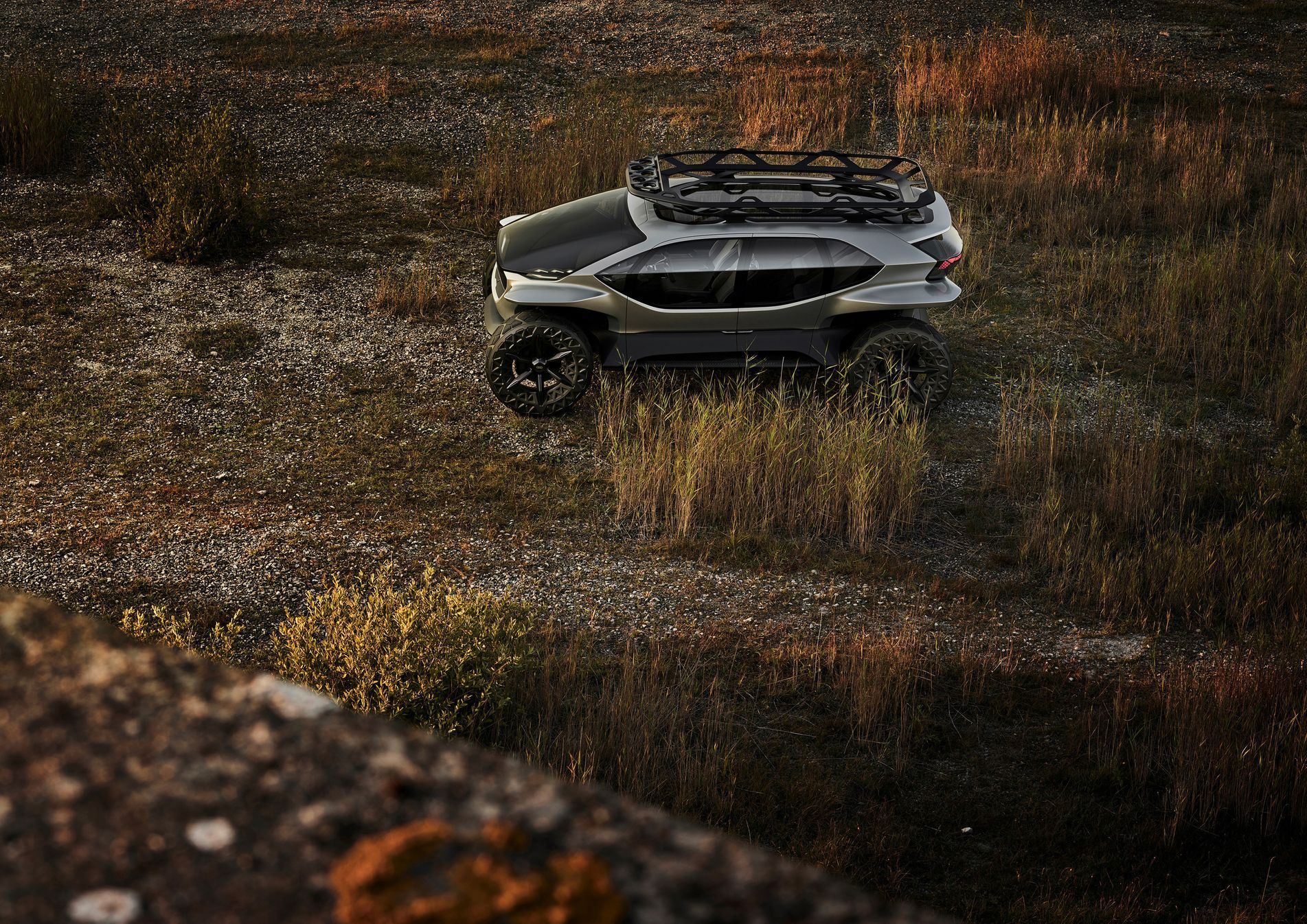 Audi AI:Trail