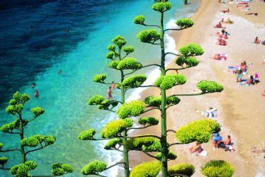 Pláž Chorvatsko
